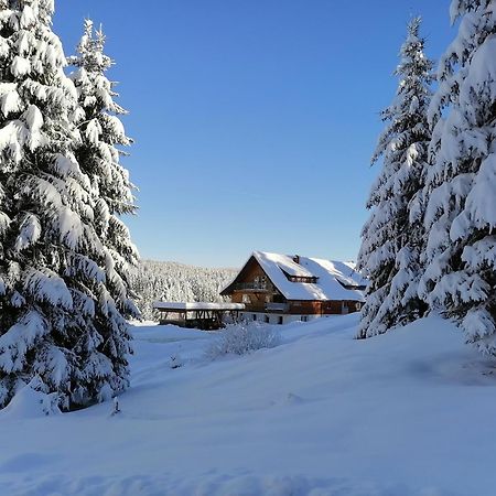 Ferienwohnung Heustueble Hinterzarten Εξωτερικό φωτογραφία